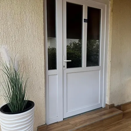 Orhidelia